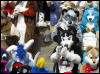 [WildBillTX FWA2008 244]