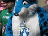 [WildBillTX FWA2008 251]