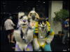 [WildBillTX FWA2008 286]