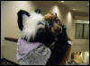 [WildBillTX FWA2008 293]