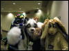 [WildBillTX FWA2008 295]