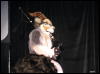 [WildBillTX FWA2008 305]