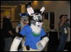 [WildBillTX FWA2008 344]