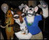 [WildBillTX FWA2008 345]