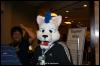 [Zephyr FWA2008 013]