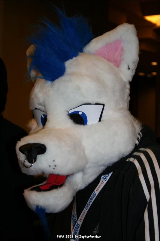 [Zephyr_FWA2008_014.jpg]