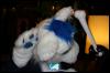 [Zephyr FWA2008 022]