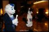 [Zephyr FWA2008 035]