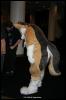 [Zephyr FWA2008 084]