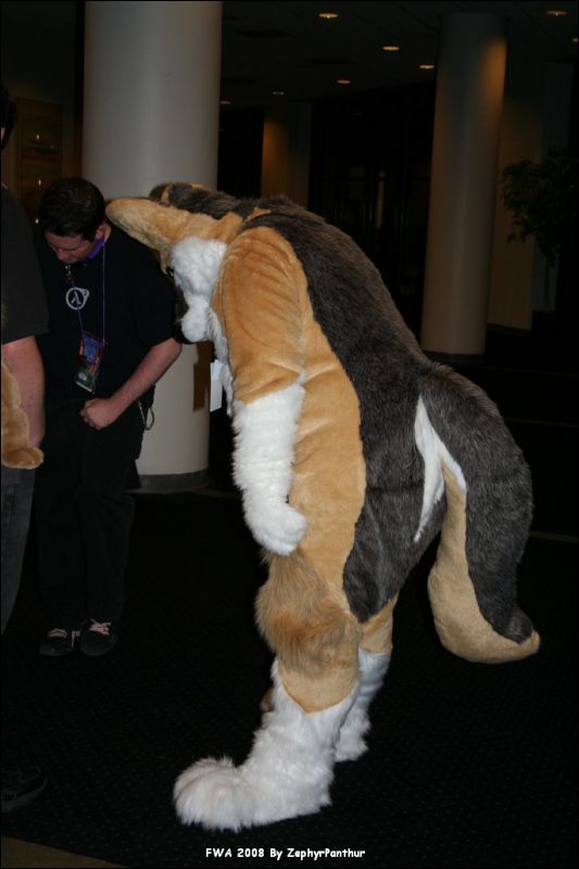 [Zephyr_FWA2008_084.jpg]