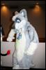 [Zephyr FWA2008 113]