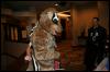 [Zephyr FWA2008 115]