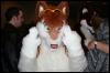 [Zephyr FWA2008 120]