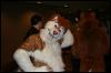 [Zephyr FWA2008 124]