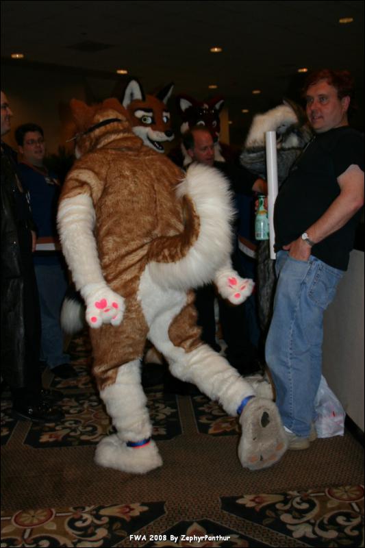 [Zephyr_FWA2008_129.jpg]