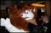 [Zephyr FWA2008 133]