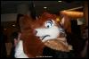 [Zephyr FWA2008 134]