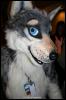 [Zephyr FWA2008 140]