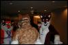 [Zephyr FWA2008 149]