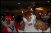 [Zephyr FWA2008 151]