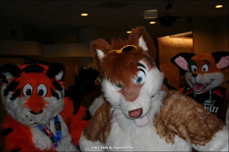 [Zephyr_FWA2008_151.jpg]