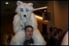 [Zephyr FWA2008 215]