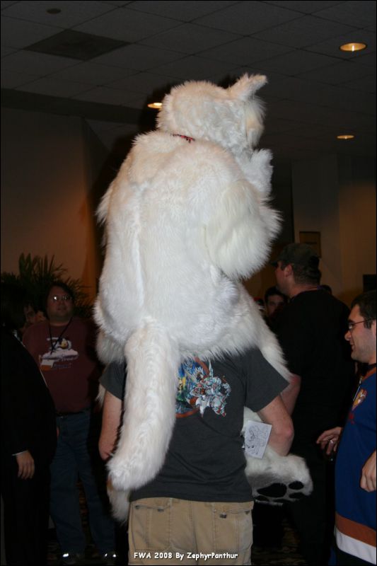 [Zephyr_FWA2008_221.jpg]