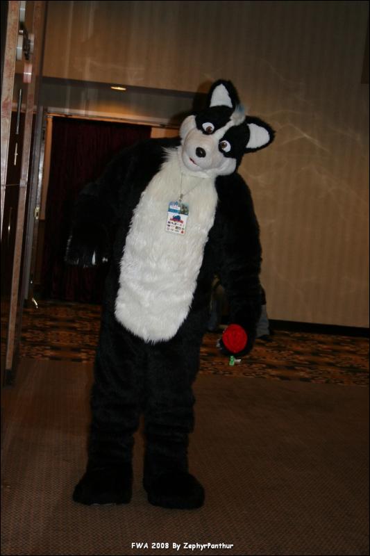 [Zephyr_FWA2008_229.jpg]