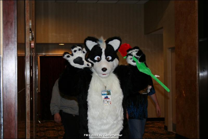 [Zephyr_FWA2008_231.jpg]