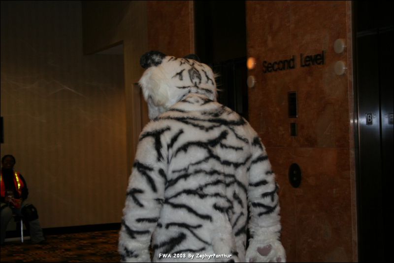 [Zephyr_FWA2008_234.jpg]