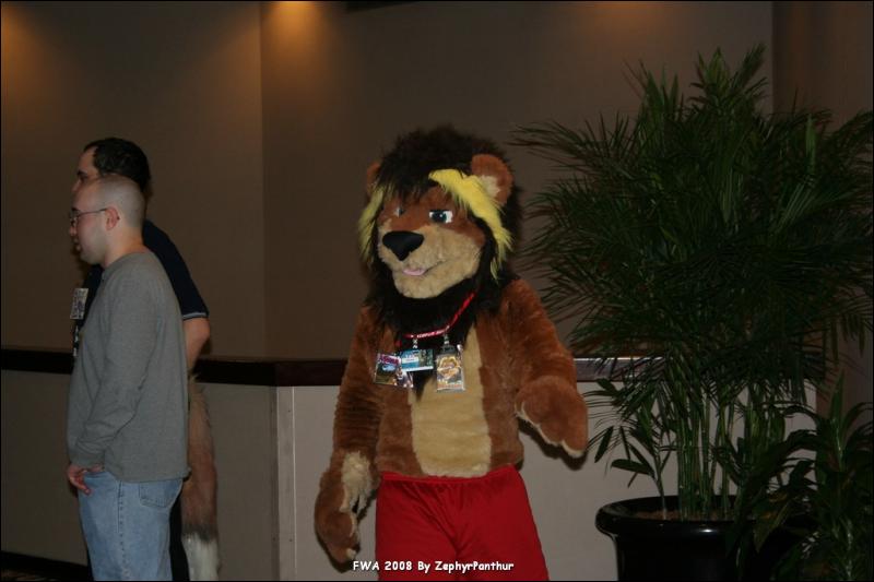 [Zephyr_FWA2008_253.jpg]