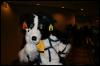 [Zephyr FWA2008 296]