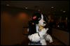 [Zephyr FWA2008 305]