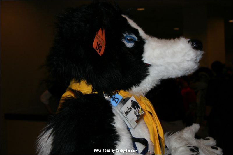 [Zephyr_FWA2008_306.jpg]