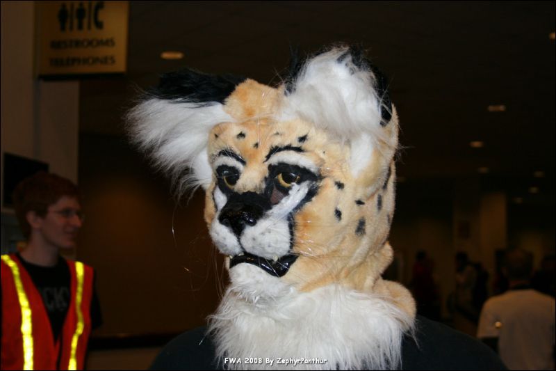 [Zephyr_FWA2008_320.jpg]