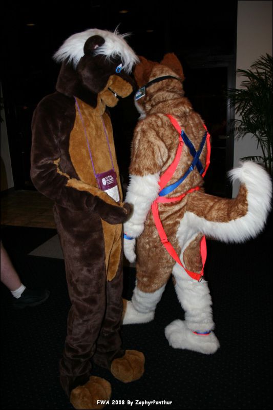 [Zephyr_FWA2008_335.jpg]