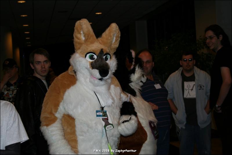 [Zephyr_FWA2008_336.jpg]