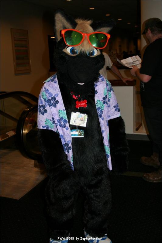 [Zephyr_FWA2008_343.jpg]