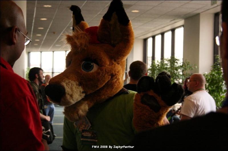 [Zephyr_FWA2008_438.jpg]