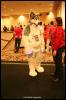 [Zephyr FWA2008 735]