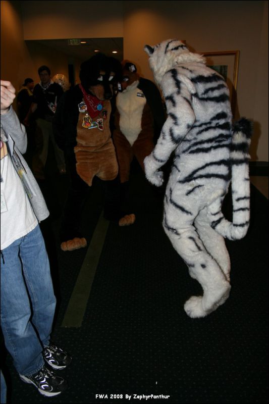 [Zephyr_FWA2008_838.jpg]