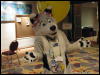 [WildBillTX FWA2009 012]