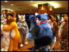 [WildBillTX FWA2009 048]