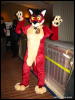 [WildBillTX FWA2009 058]