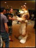 [WildBillTX FWA2009 062]