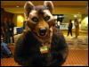 [WildBillTX FWA2009 065]