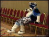 [WildBillTX FWA2009 068]