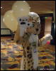 [WildBillTX FWA2009 114]