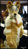 [WildBillTX FWA2009 131]