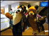 [WildBillTX FWA2009 160]